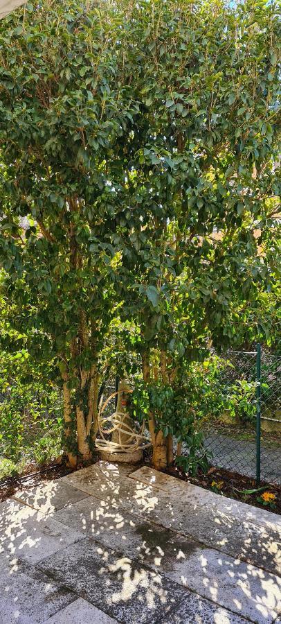 Jasmine Country House Vicenza Esterno foto